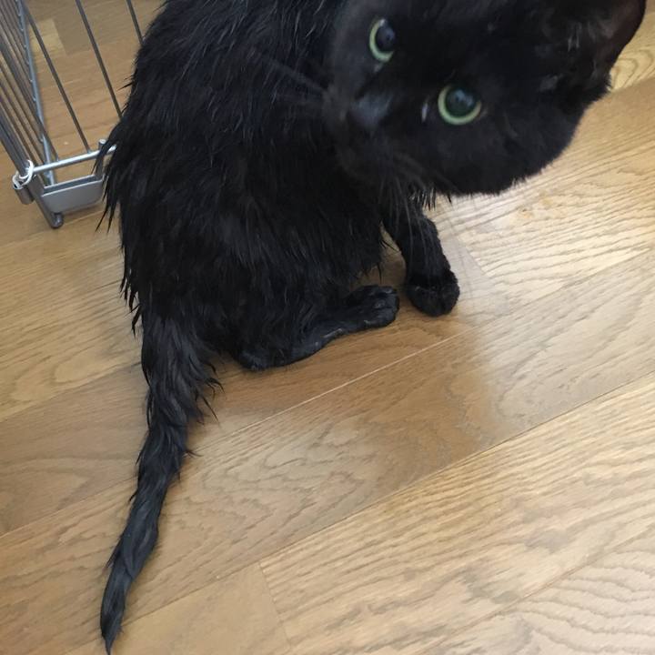 8fb4e0b9 100d 461c bc21 4f73cdf1ba13 1546227879711