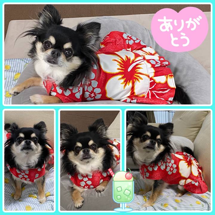 8fb4e14a 5430 4e5f 866c 645d6a06a892 1659072403234