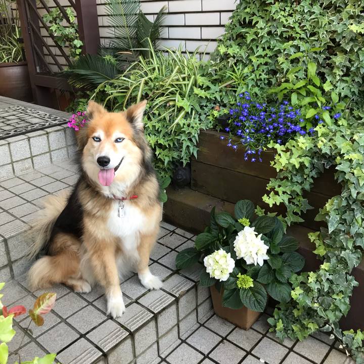 8fb51750 e676 47a5 b5c7 54d9de6a5224 1590223186819