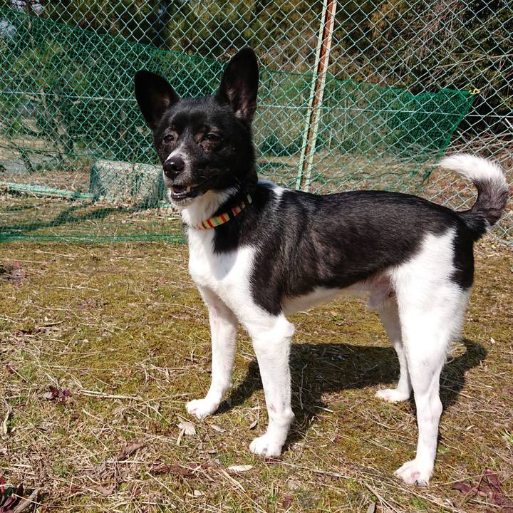 8fb52a5f 4bdd 41bf 9f07 8e83406bf9ee 1519635638231