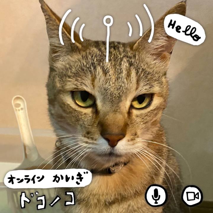 8fb53b74 5571 44d8 acff f55bcbbc97bd 1591049642582