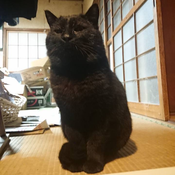 8fb56cdd dc5f 4ab7 97be 30a55c6d3c6d 1617380432435