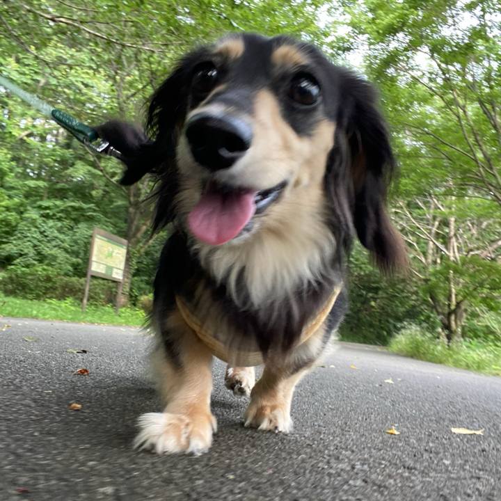 8fb571a3 fc9c 4988 a070 54e76aed455b 1719447408970