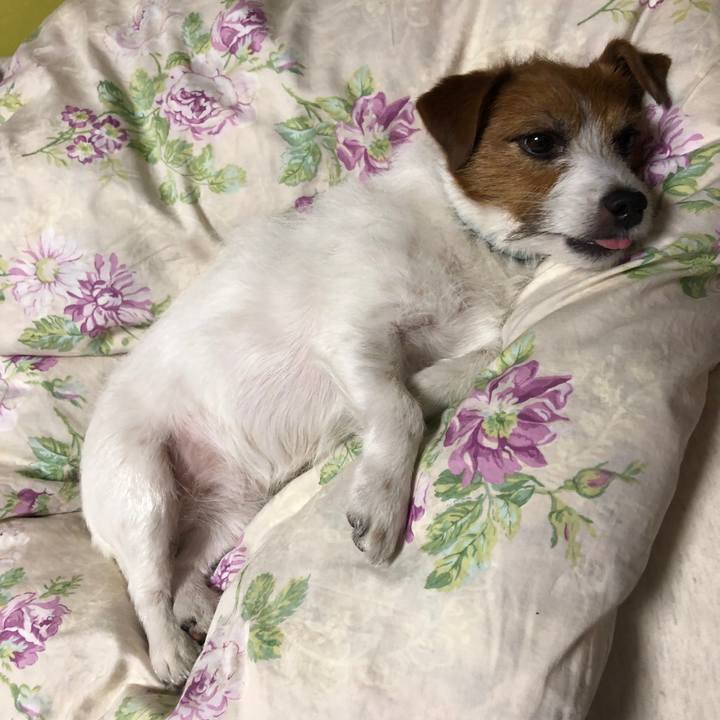 8fb58737 98bc 49b2 9790 f944a98fdff7 1571724936263