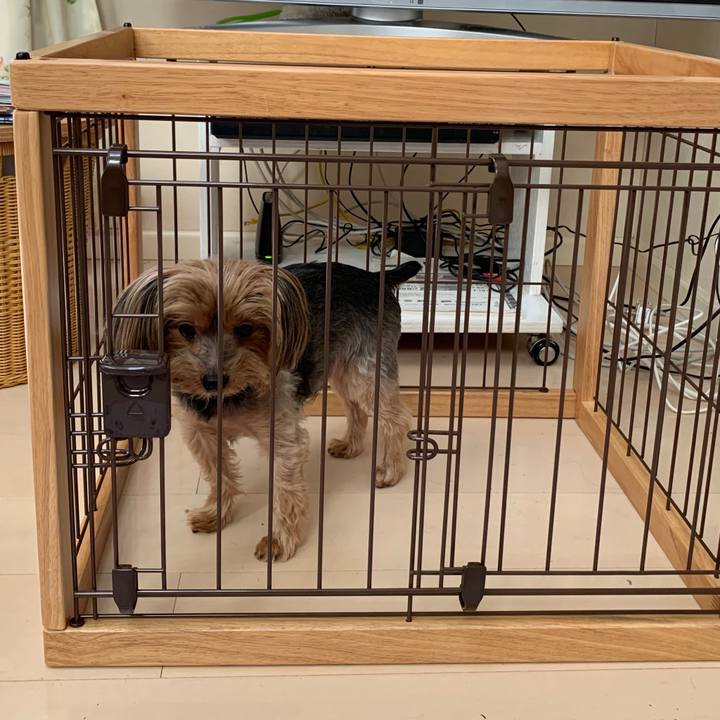 8fb5b6b7 d309 409f b670 1aa9177987ab 1573734542915