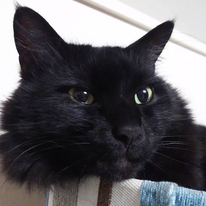 8fb5e307 e0ec 4e7c 8d8f a8ec412b9ae1 1525789882264