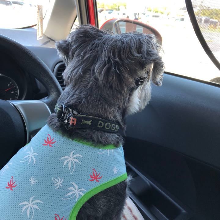 8fb61d26 7ef2 468c b34e 7f3c4651d88e 1663300230546