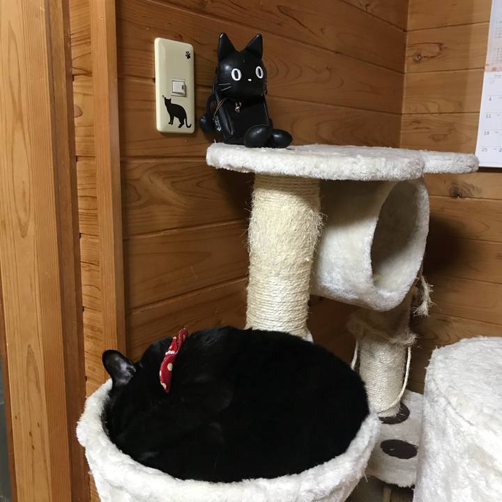 8fb6477a 8ca1 4628 a6f8 90d4a15d4d7d 1522407788930