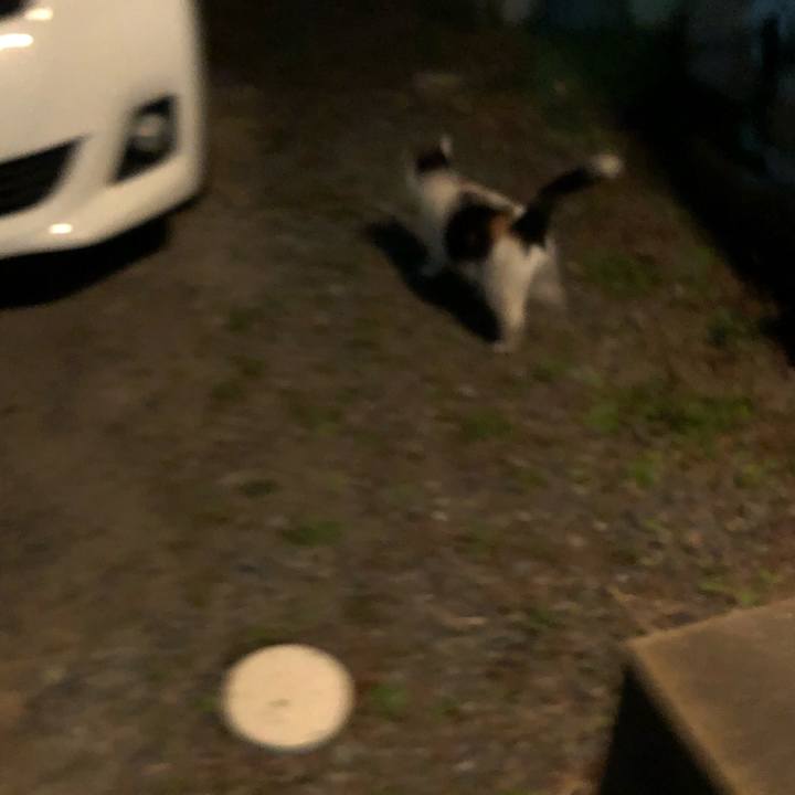 8fb6605a 3226 4f2e a471 a8fb16a4201d 1605620921884