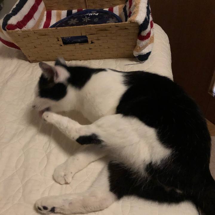 8fb6a432 af80 4a60 9c56 4b6fafb100d5 1558874268338