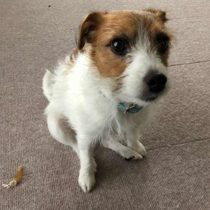 8fb6a5ee bae4 443f 9358 d68c75c9dd97 1543729717948