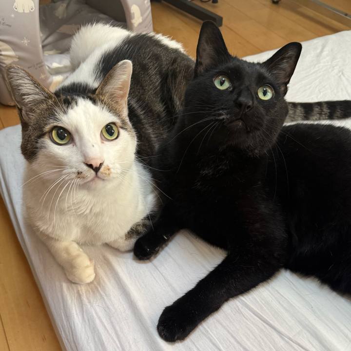 8fb6c441 cc13 4e82 b0ac de1c4e49fb8f 1763167592794