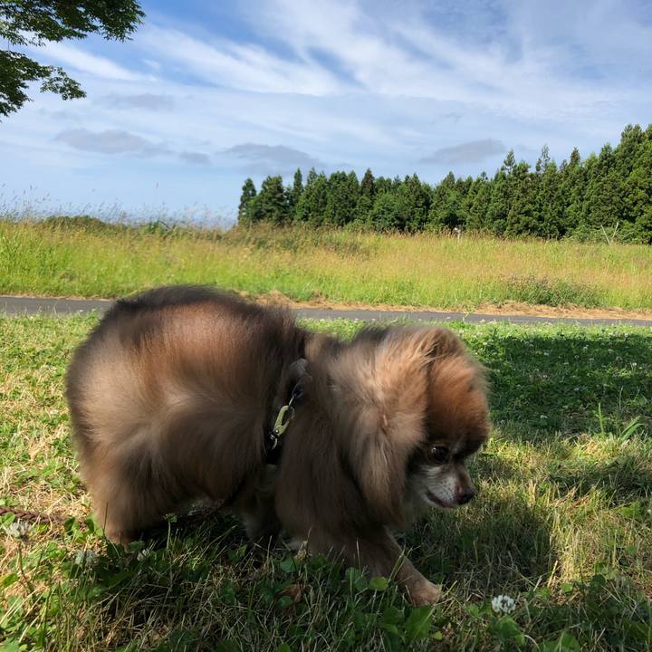 8fb6d540 8304 4507 b803 7e0fb7c07f05 1625358263161