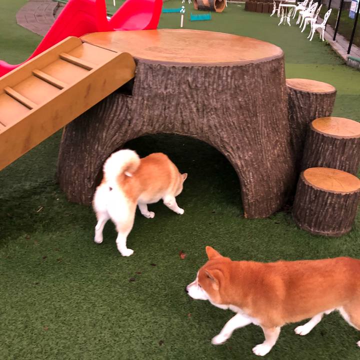 8fb6ddc0 e32d 4ba7 a1f4 6d0d8f037eed 1542148828631