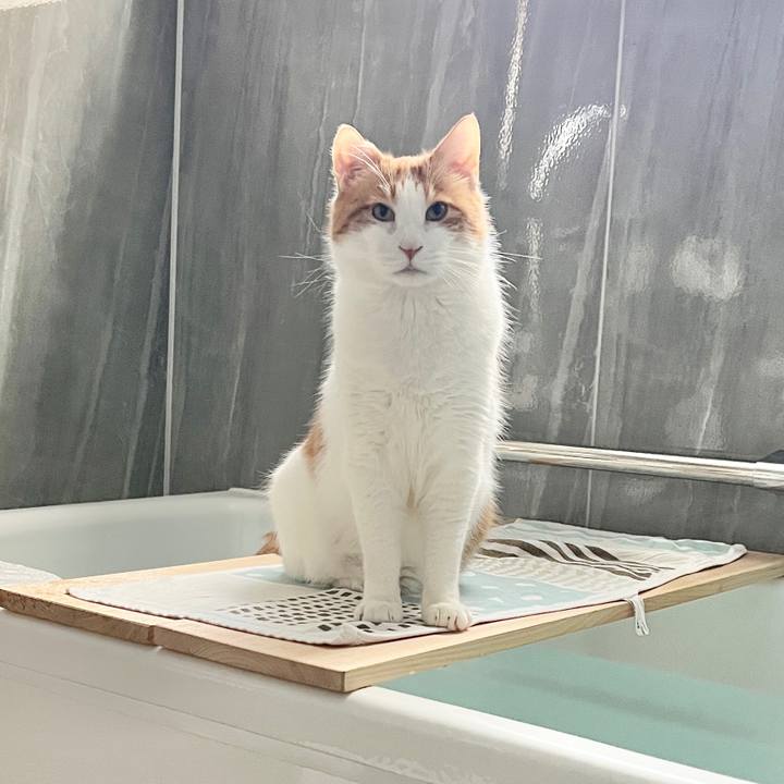 8fb6e6fe 06ad 4057 9804 f35723ed7dac 1768010674711