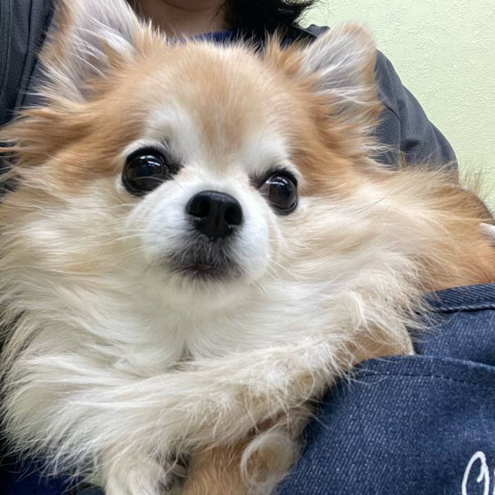 8fb6e753 1420 4614 b36c 3c9d756e9023 1760754196249