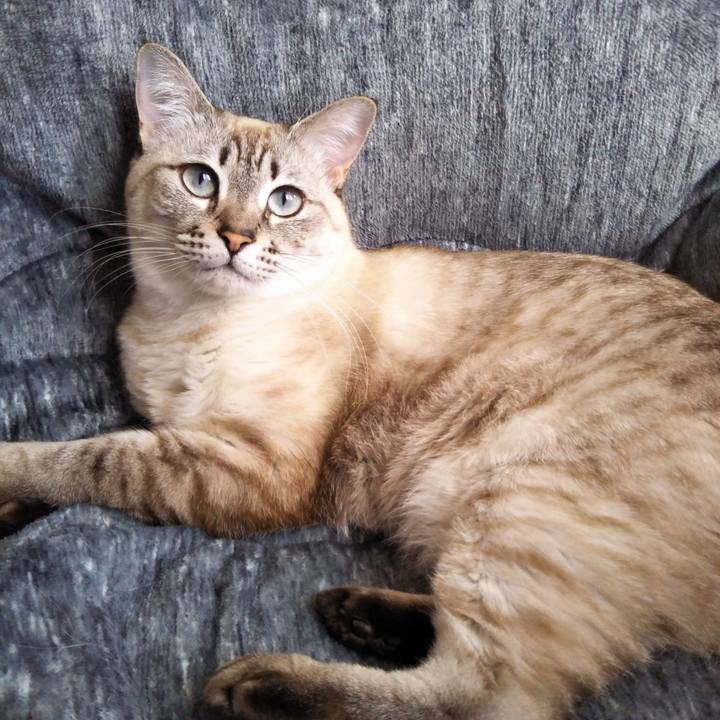 8fb70861 5ce3 454d bae1 54387dff67b3 1548033561704