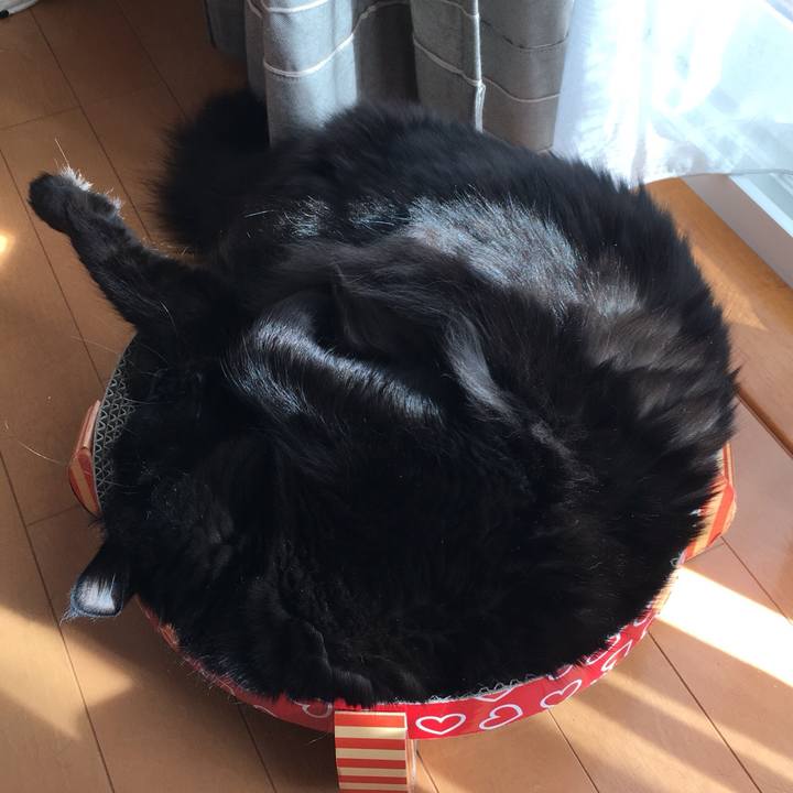 8fb75086 52c3 4b64 b2c6 1d50ba63b280 1525679945911