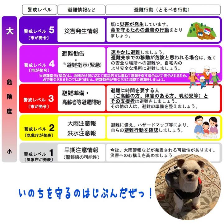 8fb762ed 46b2 4b72 87a4 3ee5329b5216 1570868120575