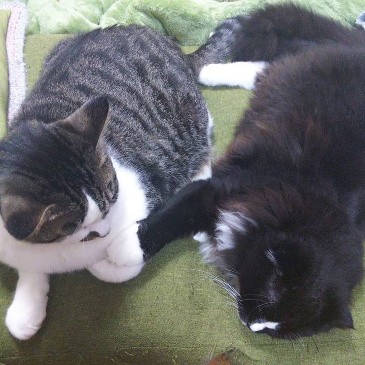 8fb78a9c dccd 4757 950d 5647d14f875b 1655192035710