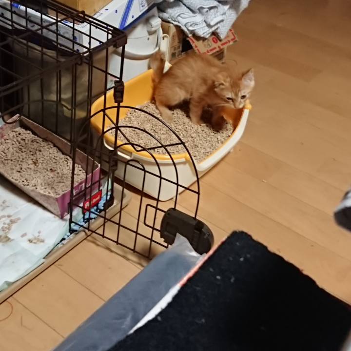 8fb79e58 74c9 43cd 8bb8 b9ce1e6672fd 1629751155545