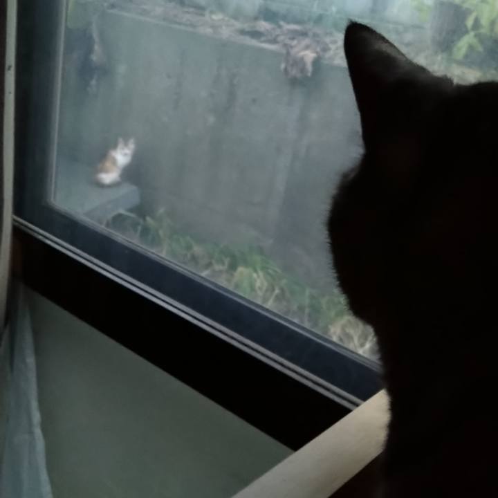 8fb7b37f 3ed6 437d ba57 9128b23bf15c 1668773184702