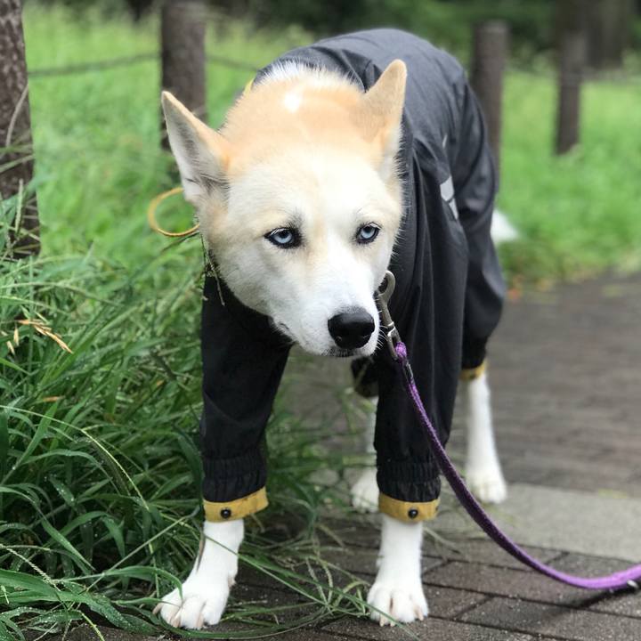 8fb7cef0 e1cb 4cd4 9812 6f63c6396db9 1533718369892