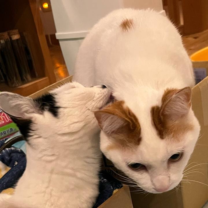 8fb802da 868c 4571 8867 0e43fe896674 1769781082032