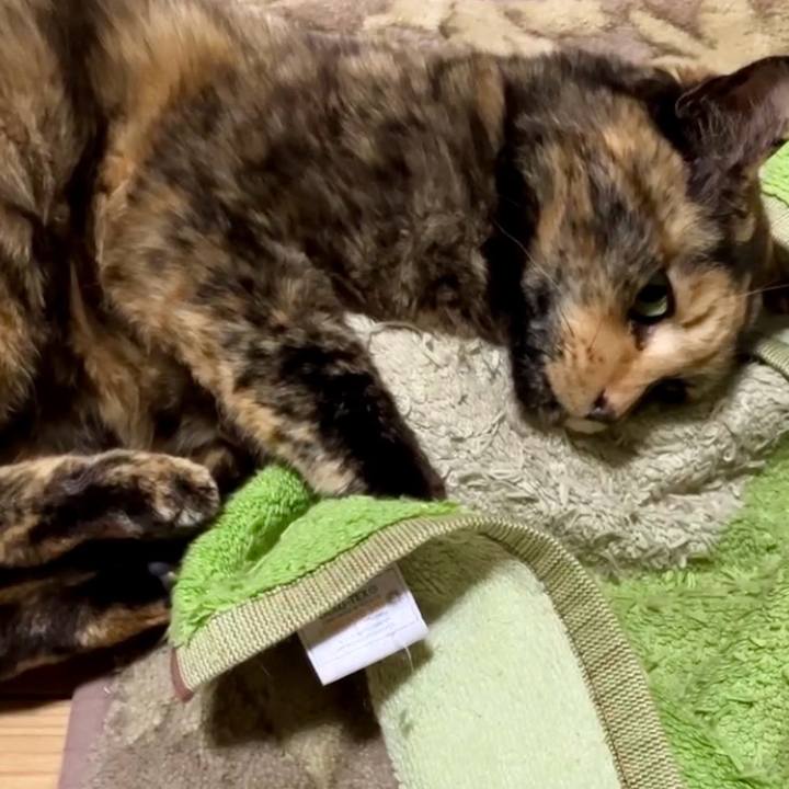 8fb825d8 c23e 4996 b5b6 dfa25ebb4cf1 1742242653491