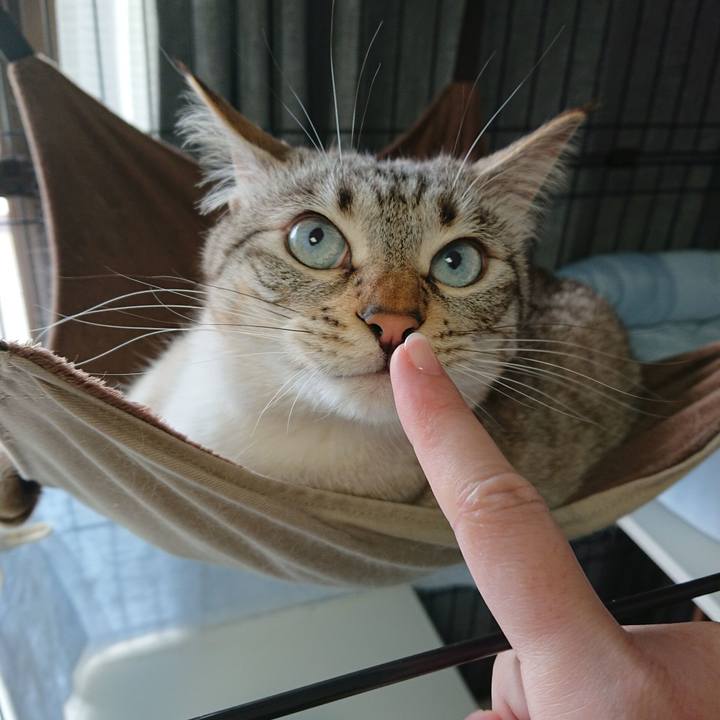 8fb837b4 6694 4d68 b17c fcdc4a5adaa5 1558234514006