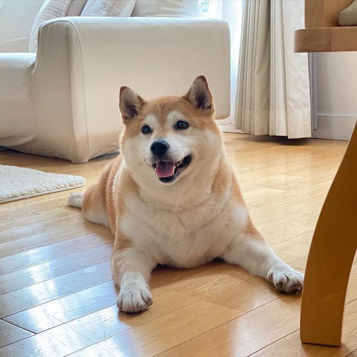 8fb87193 a2c3 4b2a a891 f8808d812ef9 1686956416901