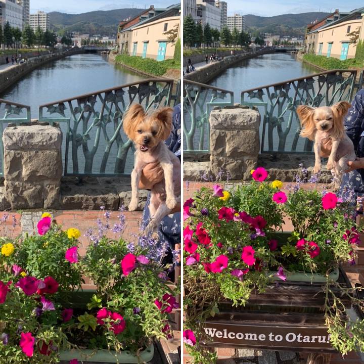 8fb8734a 0aec 4239 add9 4f92e296eb3d 1634292412140