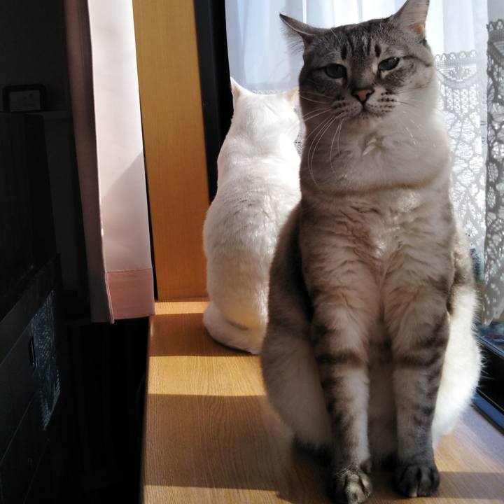 8fb87ab7 994a 46e3 a95c 3567404c6d51 1616454078181