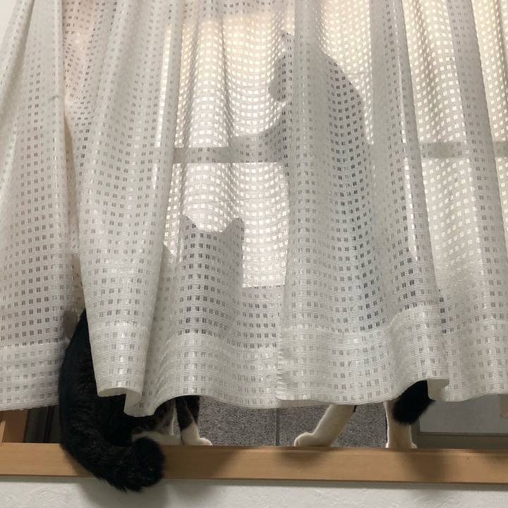 8fb8c1c8 d33c 43a3 a389 6fc6f18f2505 1556775198790