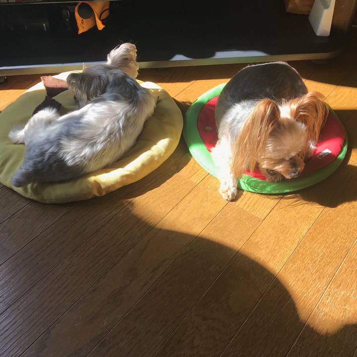 8fb8f6f6 baf4 4909 8369 a6c5a223278f 1569150747930