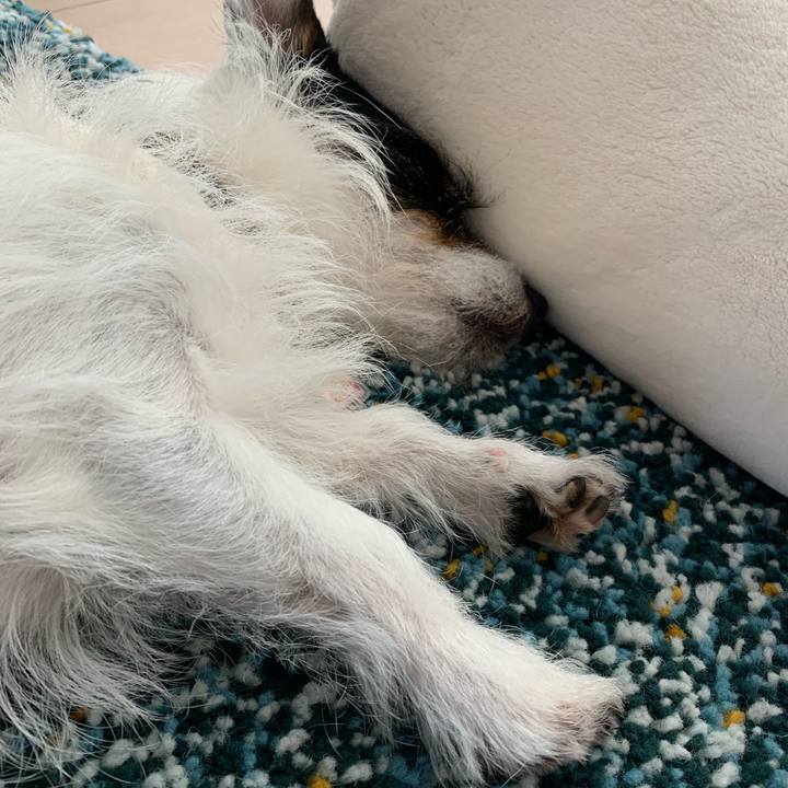 8fb91f56 cf46 46c3 9d0f b646a792fdaa 1656390319552