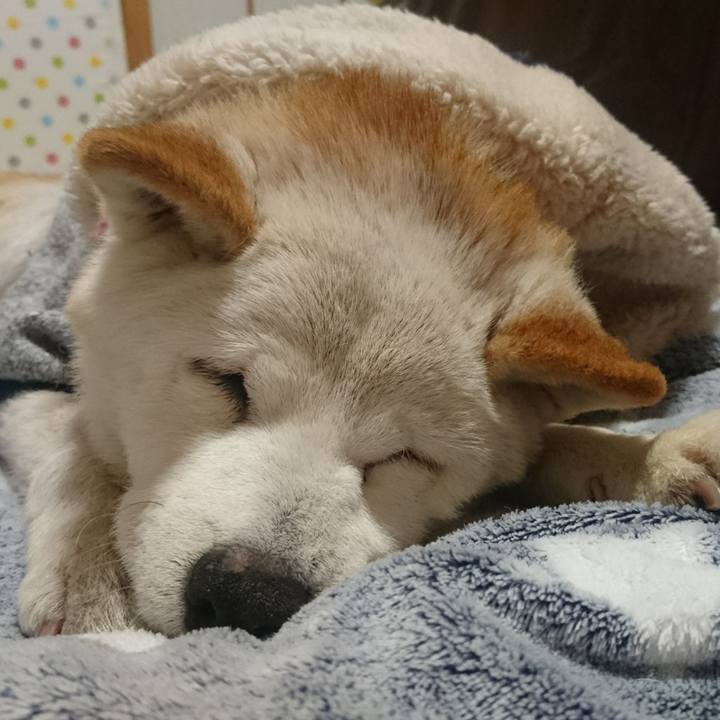 8fb94a4e 8389 4e12 af31 5996fc49c85b 1517227084082