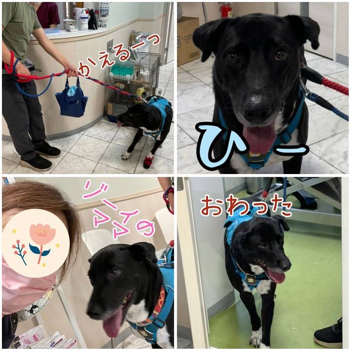 8fb983d5 9576 4e4e aa7e 05e3ba7fab3a 1625307192823