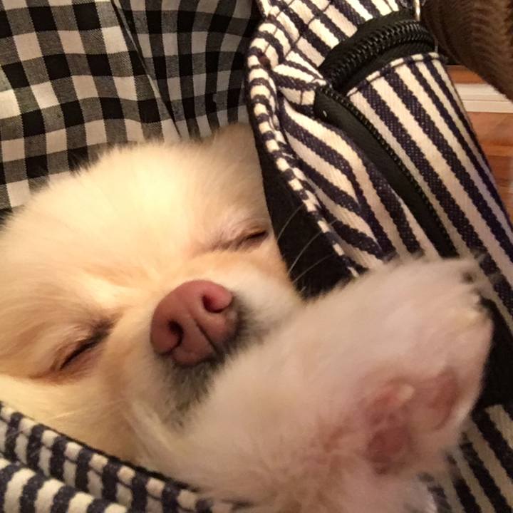 8fb9a0a3 5054 4591 b85f 99284c7a5aba 1552347456524