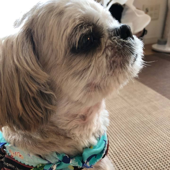 8fb9b979 646a 4c22 95db 7597a8635da7 1598144451812