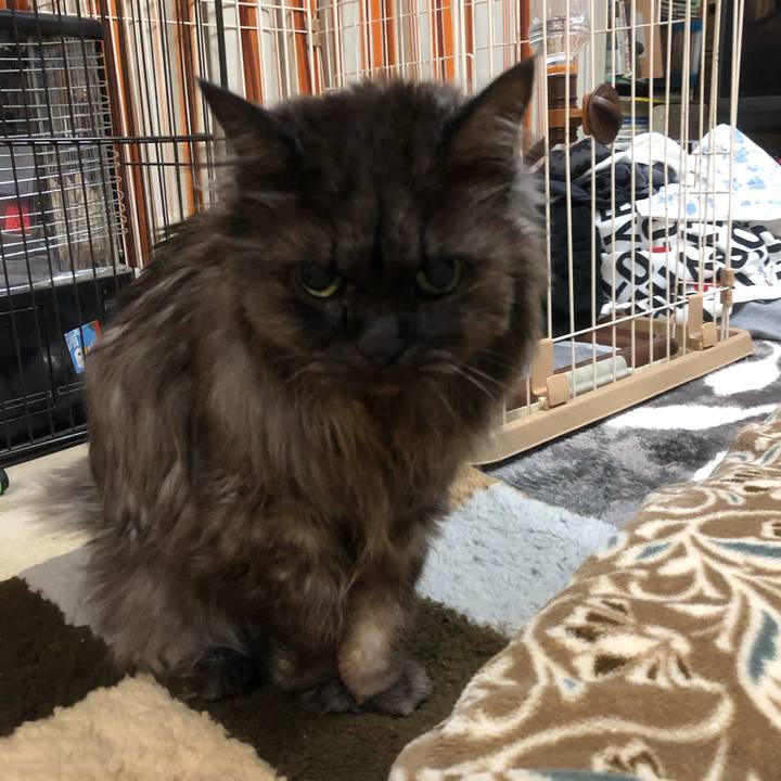 8fb9f8ae 9ecf 4565 9af7 7fd78a45c94e 1546648538107