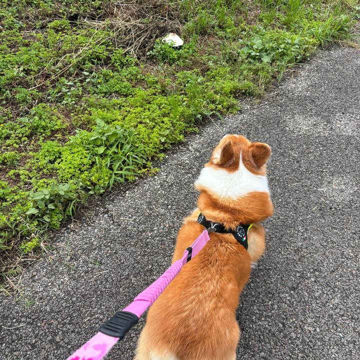 8fba066c 4103 4472 a69c 639dc7214816 1748997110923