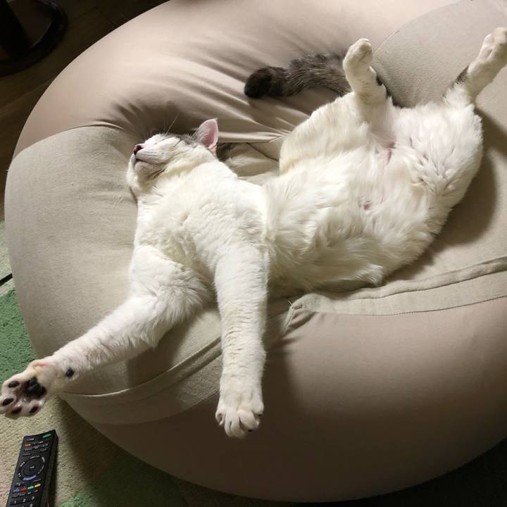 8fba2925 aebb 4834 9041 7fcc5e395b93 1615385191110