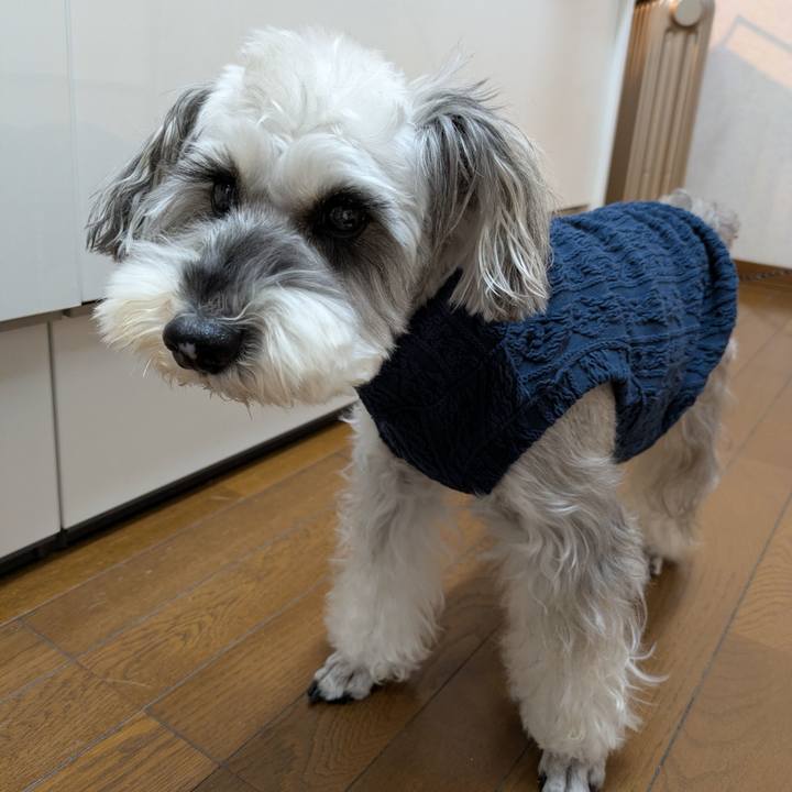 8fba2ed2 a649 43ef 9b2a 0561c2ace974 1763897380420