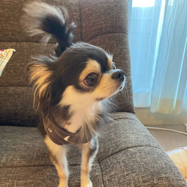 8fba87ad 132e 4b47 b05f 3eb6a58a9add 1713014946867