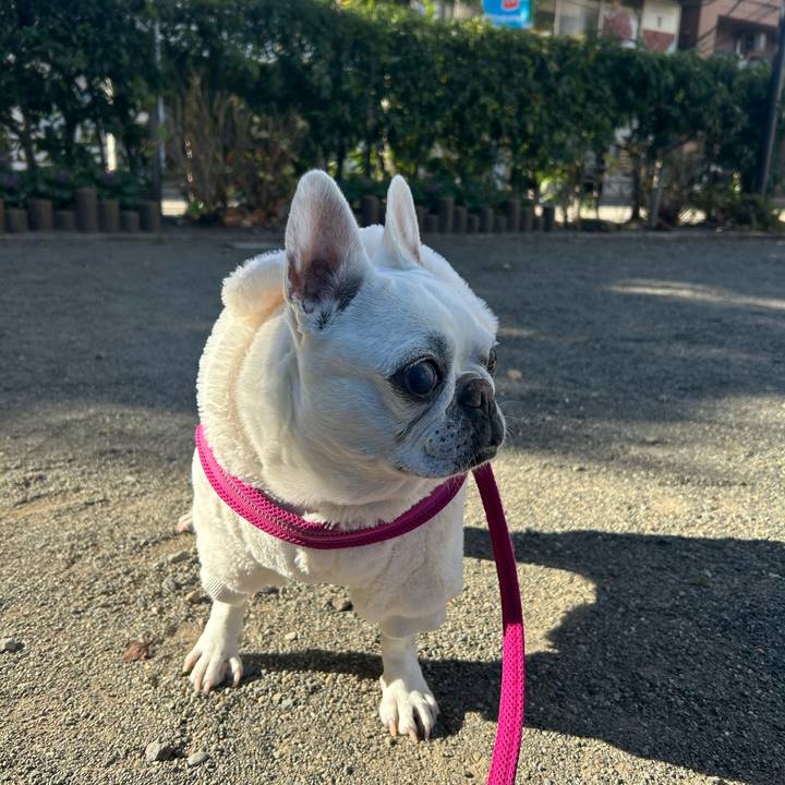 8fbaa998 ad70 4de3 b99d b4872ce35c27 1734145499088