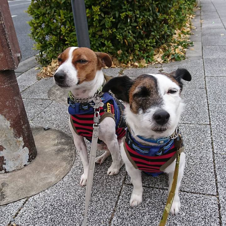 8fbb0454 5852 41bf 96a5 f8c60baed9a8 1609888702130