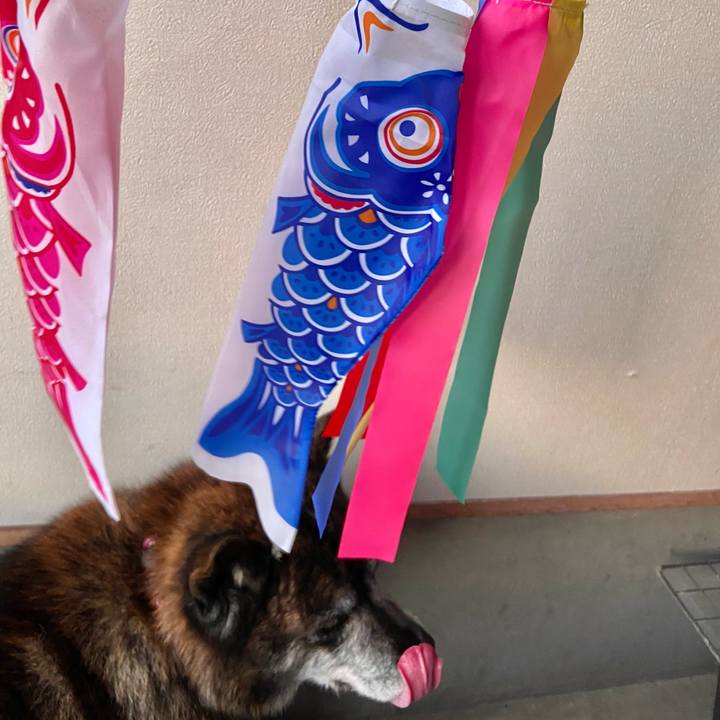 8fbb0eb3 3e44 4661 912a 3ef203f010bb 1651742981497