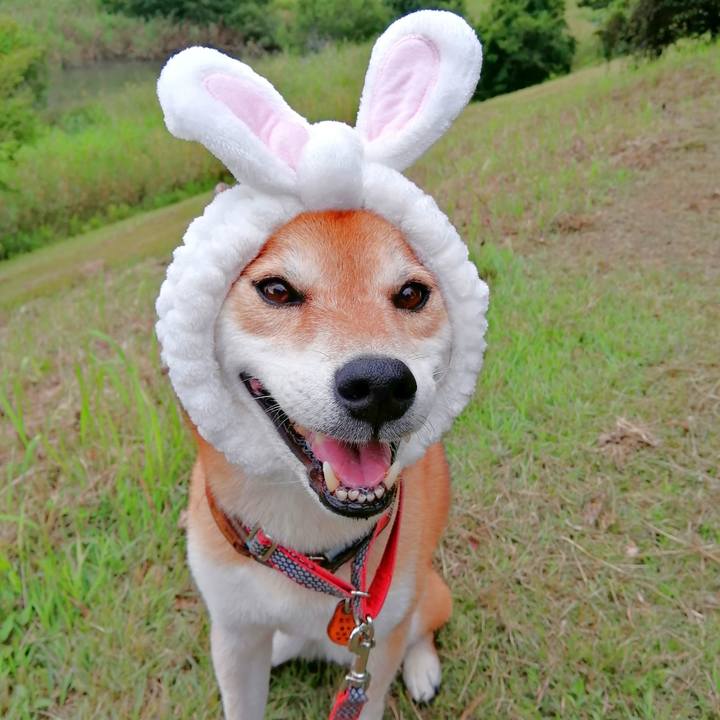 8fbb3206 1662 4a8e bd7b 2ec71776875d 1662713619670