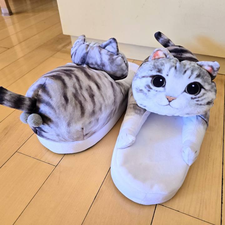 8fbb34b9 3197 4a02 89b6 82ba21ddbf59 1769314767371